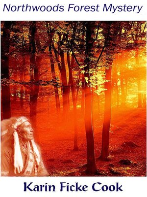 cover image of Northwoods Forest Mystery